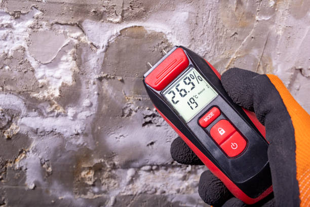 Best Insurance-Related Mold Remediation in Newburg, WI