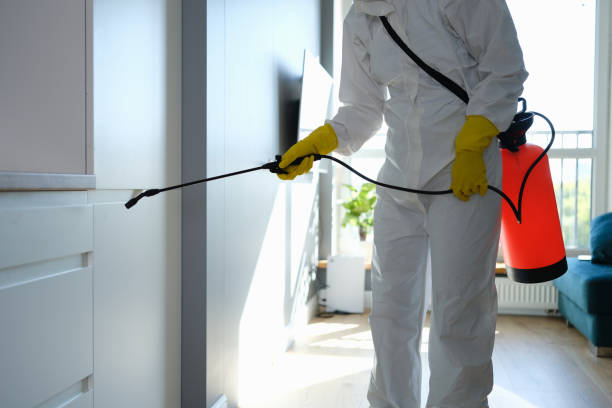 Best Residential Mold Remediation in Newburg, WI