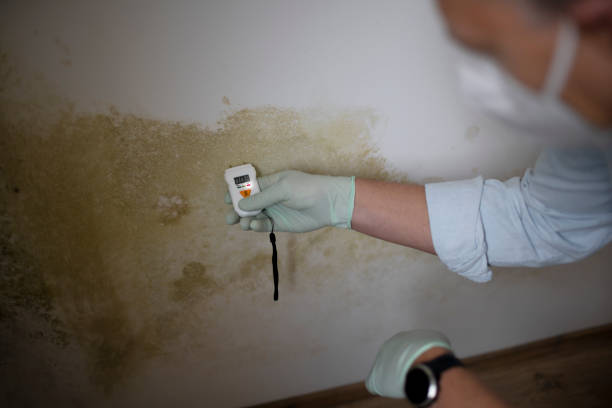Best Post-Remediation Services in Newburg, WI