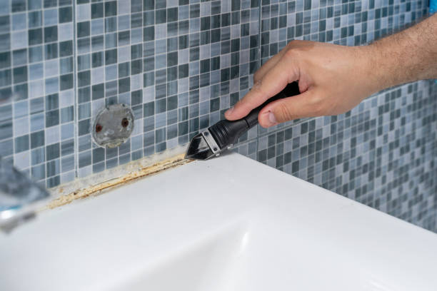 Best Commercial Mold Remediation in Newburg, WI