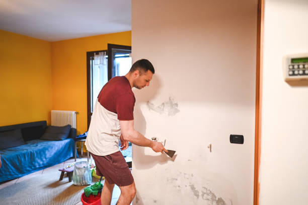 Best Attic Mold Remediation in Newburg, WI